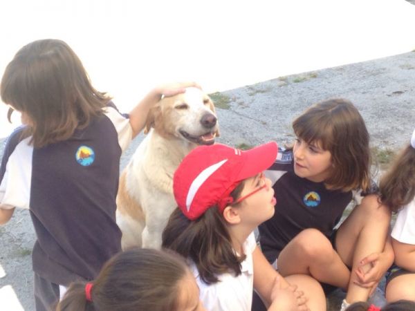 Preme para ver a foto ampliada