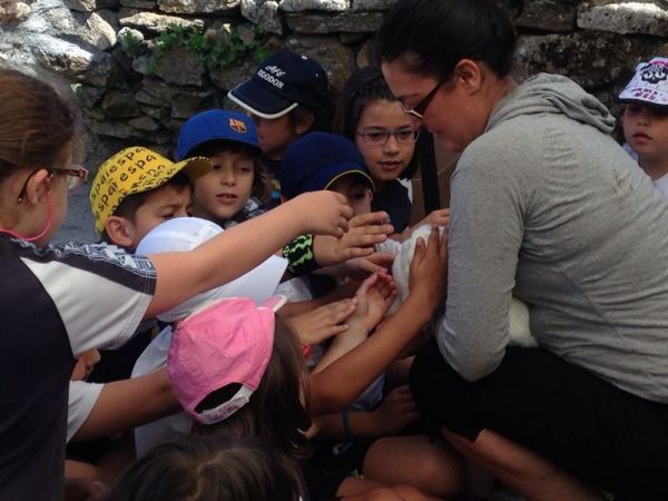 Preme para ver a foto ampliada