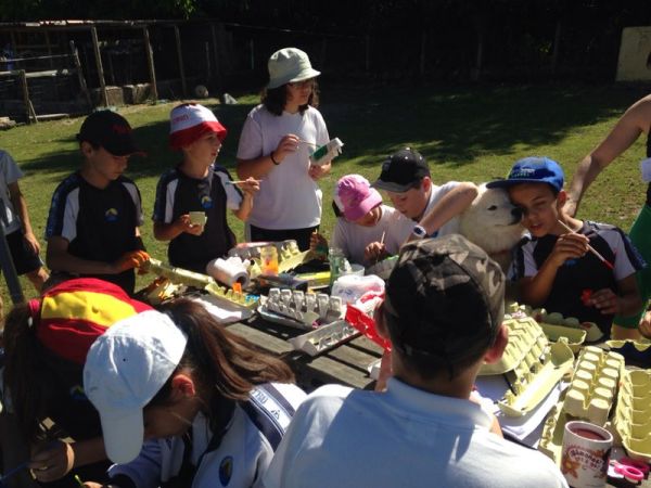 Preme para ver a foto ampliada