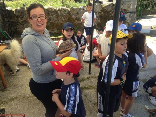 Preme para ver a foto ampliada