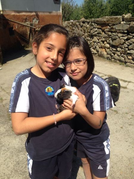 Preme para ver a foto ampliada