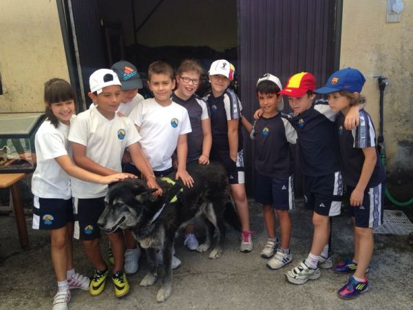 Preme para ver a foto ampliada