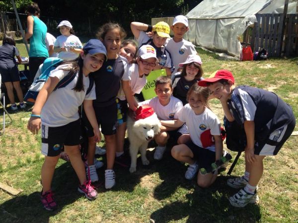 Preme para ver a foto ampliada