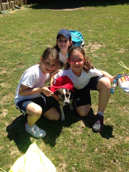 Preme para ver a foto ampliada