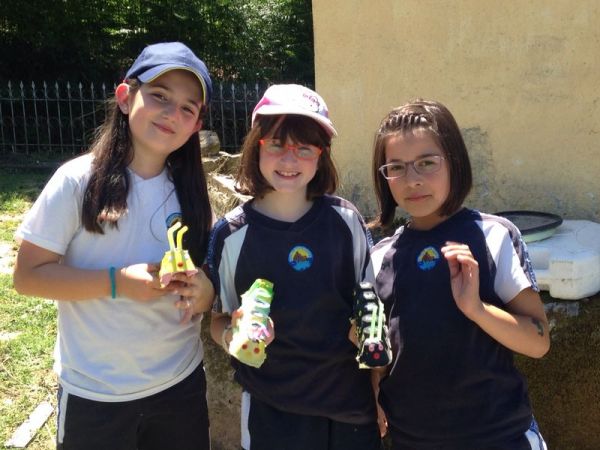 Preme para ver a foto ampliada