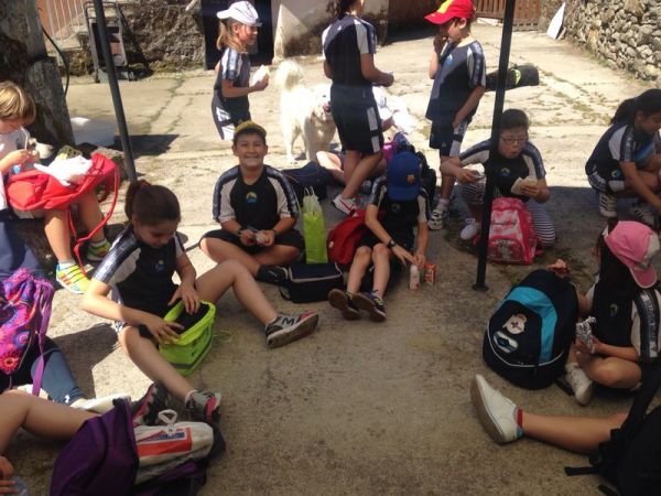 Preme para ver a foto ampliada