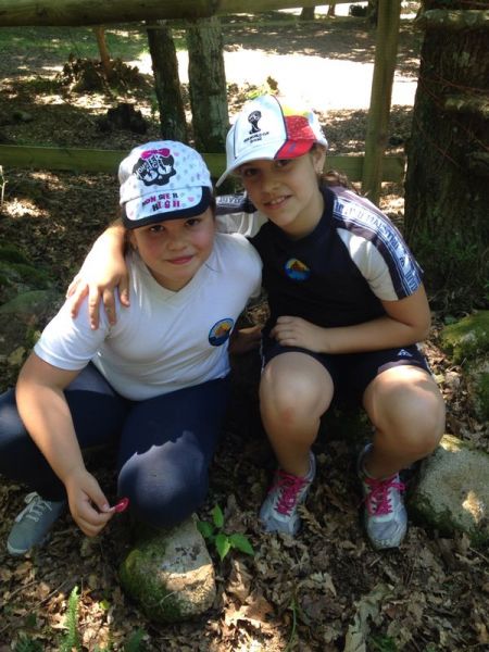 Preme para ver a foto ampliada