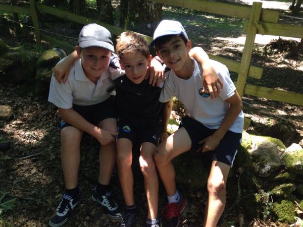 Preme para ver a foto ampliada