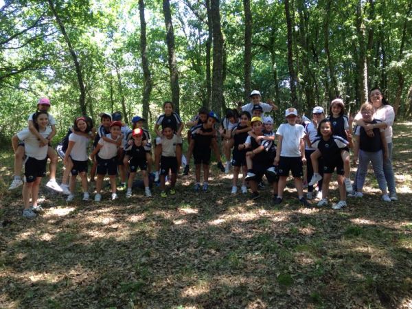 Preme para ver a foto ampliada