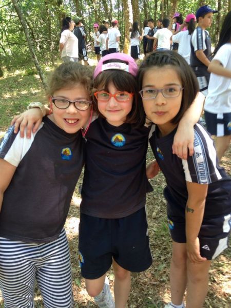 Preme para ver a foto ampliada