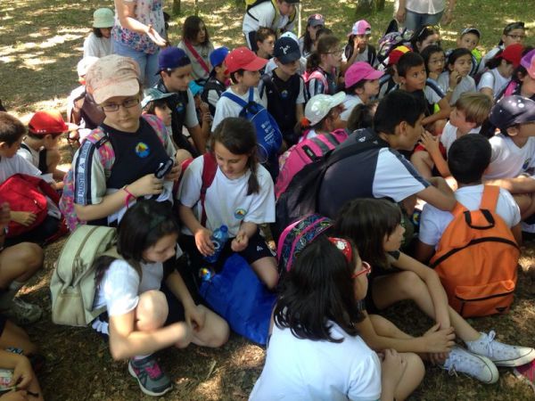 Preme para ver a foto ampliada