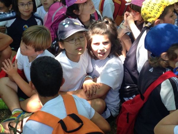 Preme para ver a foto ampliada