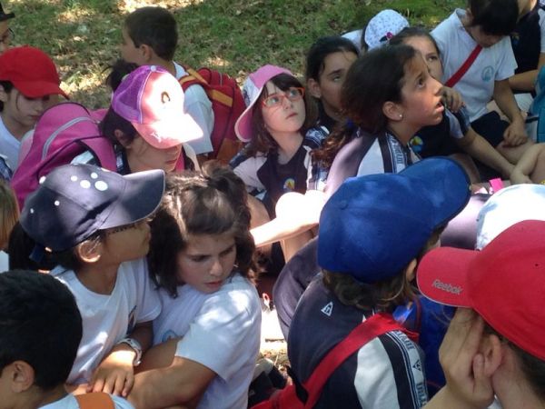 Preme para ver a foto ampliada