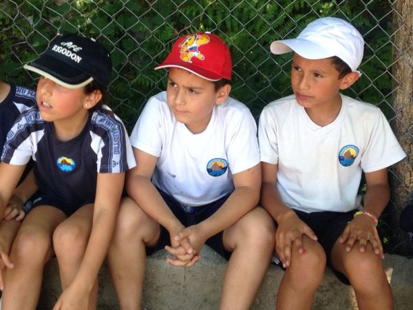 Preme para ver a foto ampliada