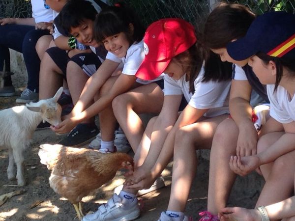 Preme para ver a foto ampliada