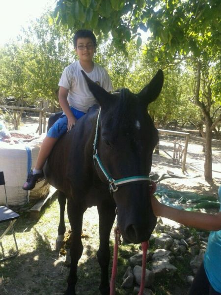 Preme para ver a foto ampliada