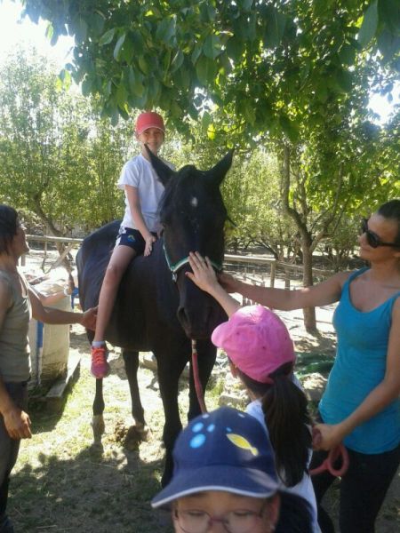 Preme para ver a foto ampliada