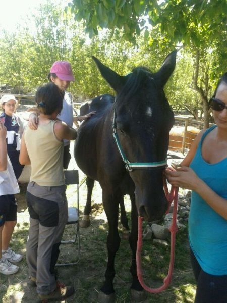 Preme para ver a foto ampliada