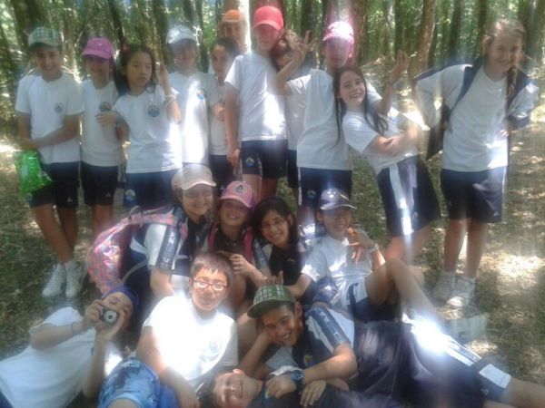 Preme para ver a foto ampliada