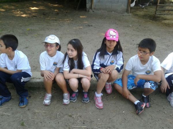 Preme para ver a foto ampliada