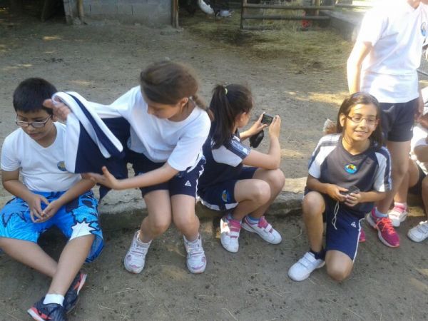 Preme para ver a foto ampliada