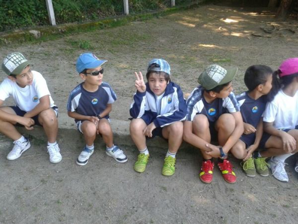 Preme para ver a foto ampliada