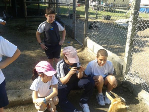 Preme para ver a foto ampliada