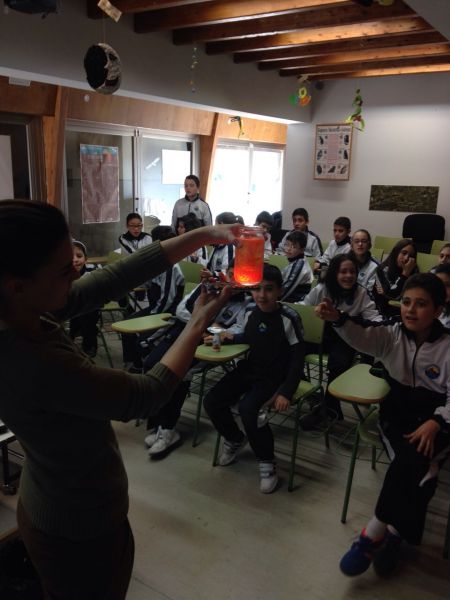 Preme para ver a foto ampliada