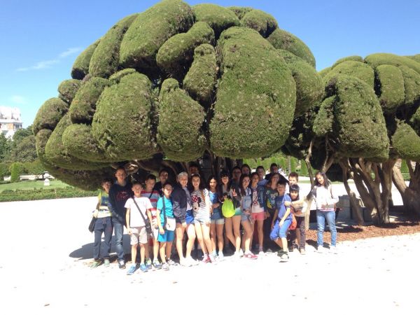 Preme para ver a foto ampliada