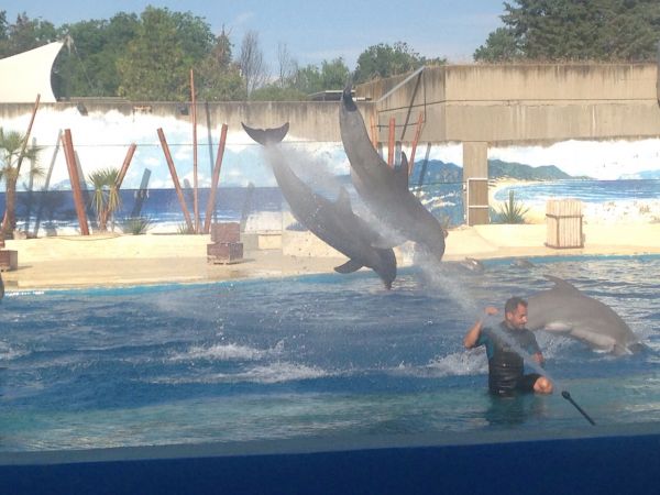 Preme para ver a foto ampliada