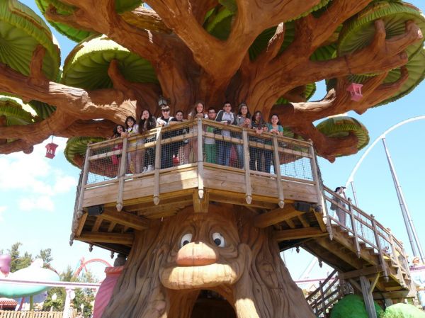 Preme para ver a foto ampliada