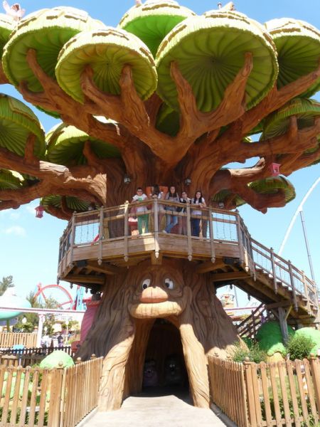 Preme para ver a foto ampliada