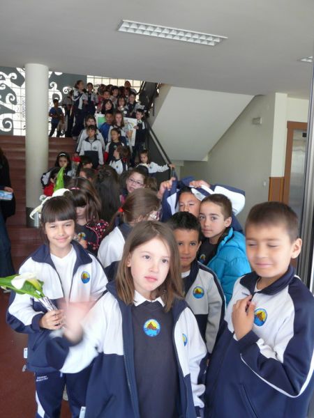 Preme para ver a foto ampliada