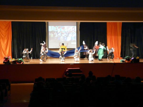 Preme para ver a foto ampliada