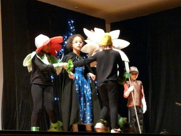 Preme para ver a foto ampliada