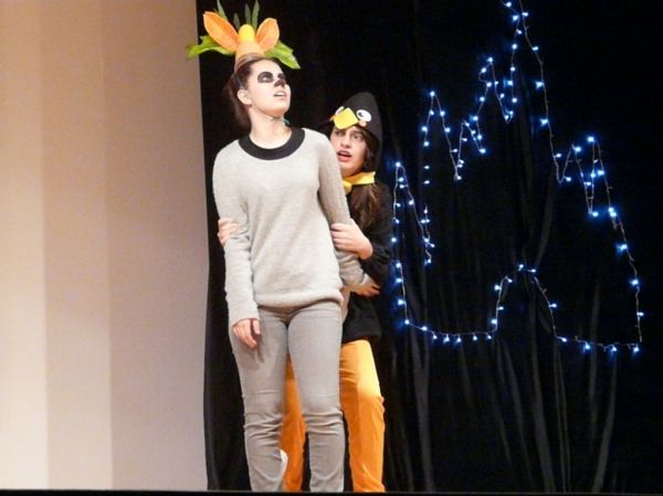 Preme para ver a foto ampliada