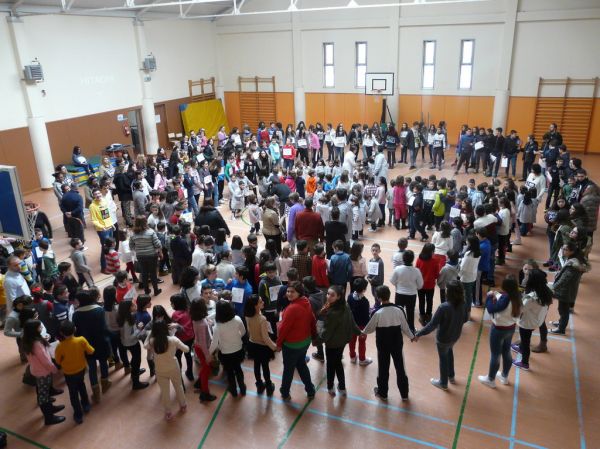 Preme para ver a foto ampliada