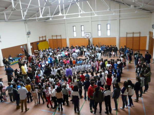 Preme para ver a foto ampliada