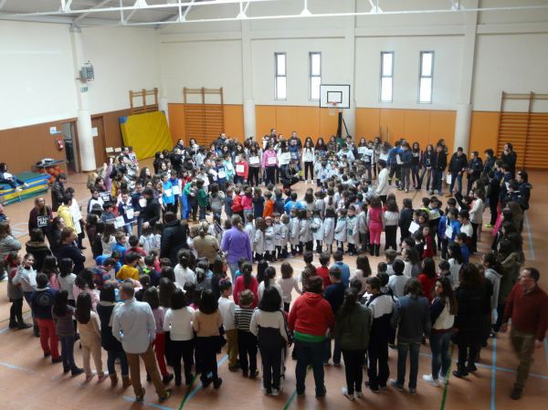 Preme para ver a foto ampliada