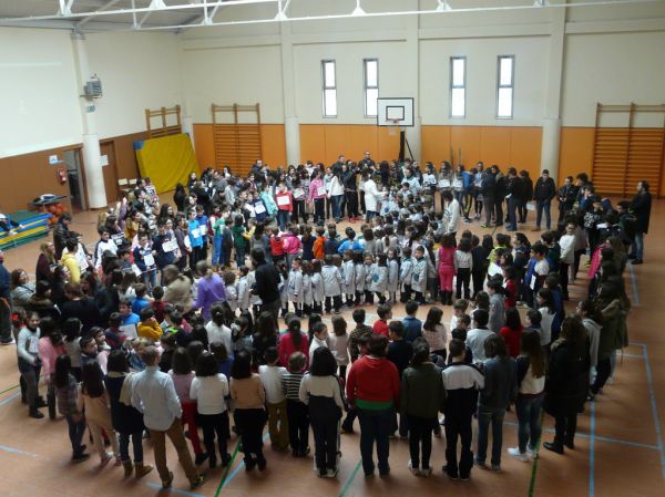 Preme para ver a foto ampliada