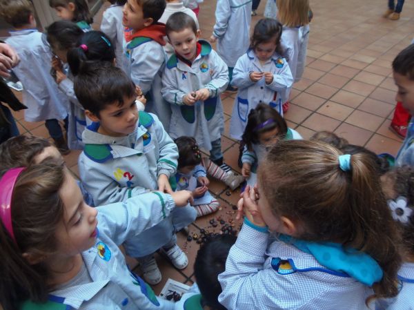 Preme para ver a foto ampliada