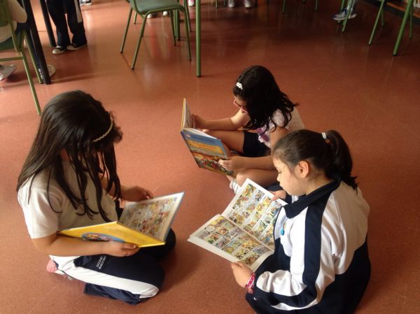 Preme para ver a foto ampliada