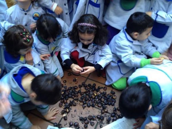 Preme para ver a foto ampliada