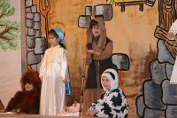 Nome de arquivo=347.JPG
Tamaño de arquivo=153KB
Dimensións=800x534
Data de engadido=12 de Mar do 2009 347.JPG