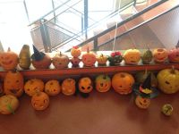 Nome de arquivo=IMG-20131107-WA0092.jpg
Tamaño de arquivo=78KB
Dimensións=800x600
Data de engadido=19 de Nov do 2013 IMG-20131107-WA0092.jpg