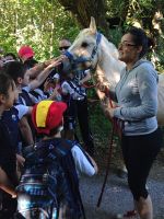 Nome de arquivo=IMG-20140618-WA0012.jpg
Tamaño de arquivo=115KB
Dimensións=600x800
Data de engadido=20 de Xuñ do 2014 IMG-20140618-WA0012.jpg