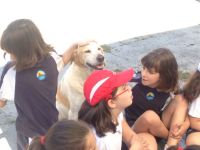 Nome de arquivo=IMG-20140618-WA0016.jpg
Tamaño de arquivo=55KB
Dimensións=800x600
Data de engadido=20 de Xuñ do 2014 IMG-20140618-WA0016.jpg