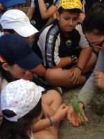 Nome de arquivo=IMG-20140618-WA0022.jpg
Tamaño de arquivo=76KB
Dimensións=600x800
Data de engadido=20 de Xuñ do 2014 IMG-20140618-WA0022.jpg