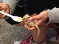 Nome de arquivo=IMG-20140618-WA0025.jpg
Tamaño de arquivo=64KB
Dimensións=800x600
Data de engadido=20 de Xuñ do 2014 IMG-20140618-WA0025.jpg