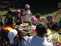 Nome de arquivo=IMG-20140618-WA0028.jpg
Tamaño de arquivo=84KB
Dimensións=800x600
Data de engadido=20 de Xuñ do 2014 IMG-20140618-WA0028.jpg